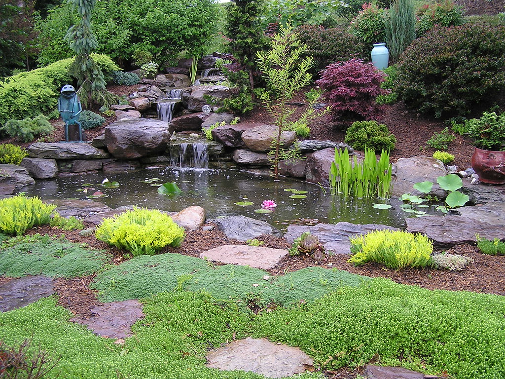 Backyard pond with multiple plantings Pondscapes Maryland