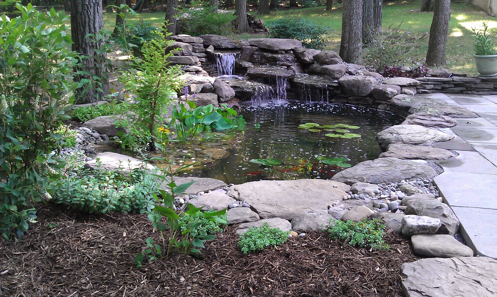 Backyard pond by custom patio