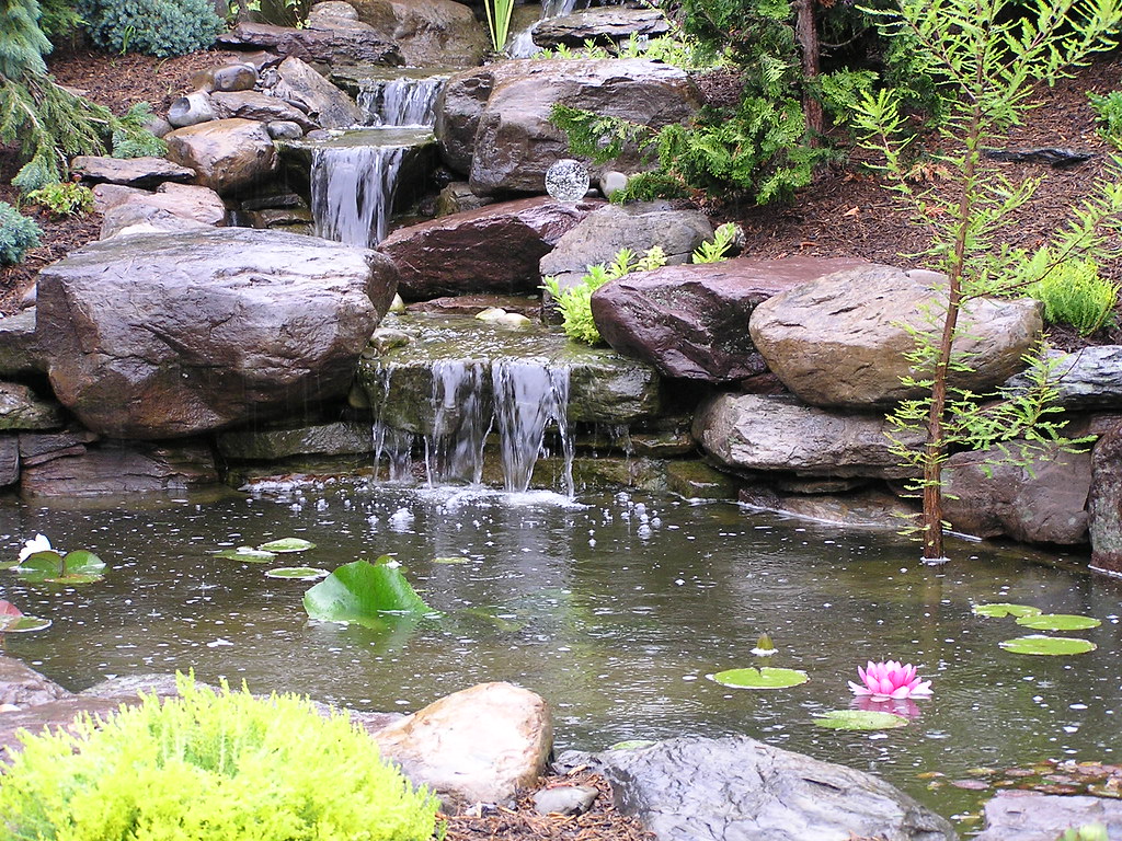 Professional Backyard pond building and pond services by Pondscapes Maryland