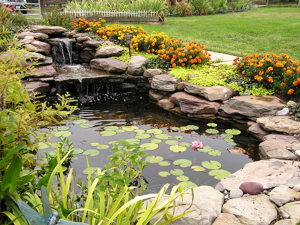 Professional Backyard pond building and pond services by Pondscapes Maryland