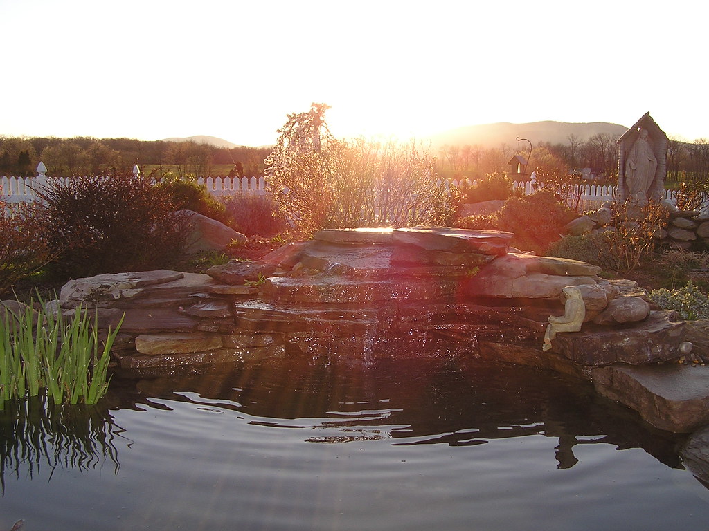 Professional Backyard pond building and pond services by Pondscapes Maryland