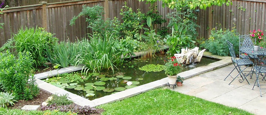 Professional Backyard pond building and pond services by Pondscapes Maryland