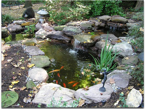 A pond with a waterfall and koi
