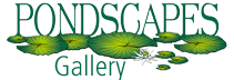 Pondscapes Gallery