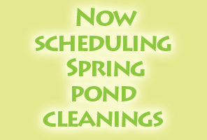 Now is the time for Fall pond cleaning
