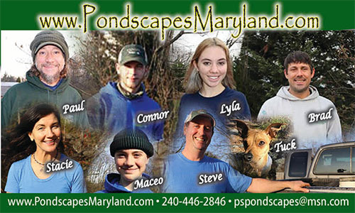 Pondscapes Maryland crew standing in a pond