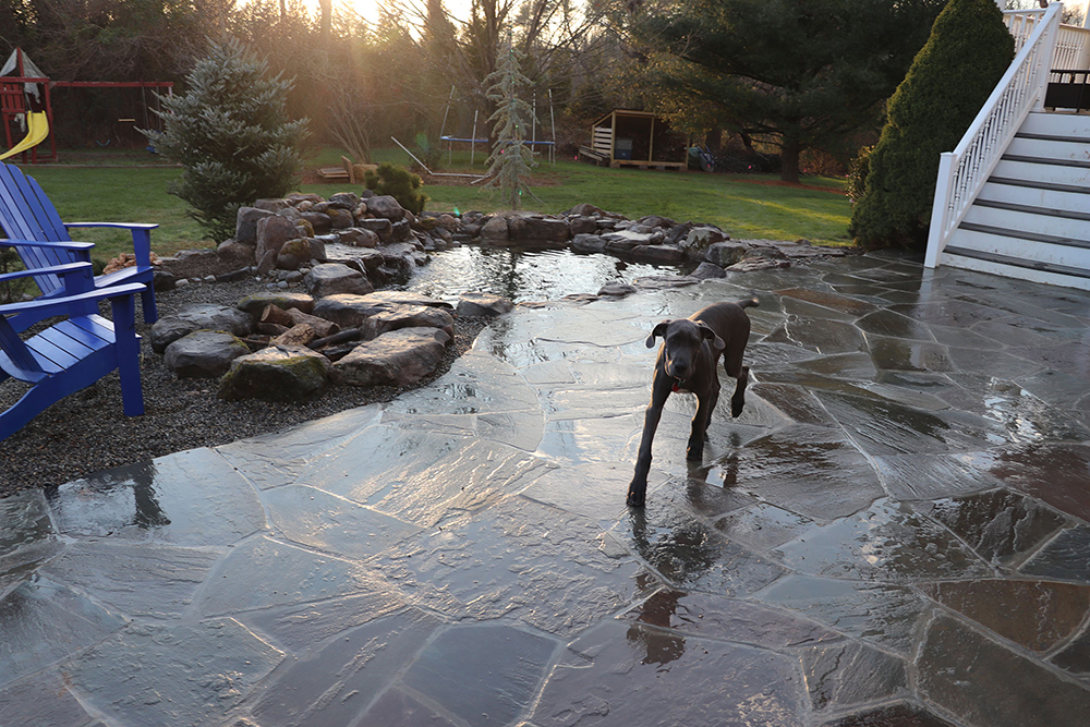 Professional Backyard pond building and pond services by Pondscapes Maryland