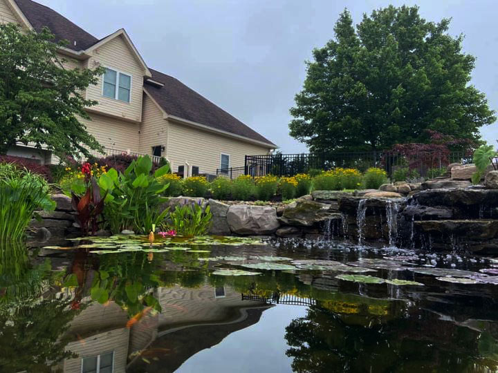 Pond with waterfall and flower garden
