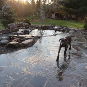 Patio by a backyard pond - Pondscapes Maryland