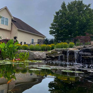 Pond with waterfall and flower garden - Pondscapes Maryland
