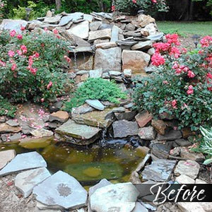 Pond before - Pondscapes Maryland