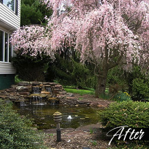 Pond after -  Pondscapes Maryland