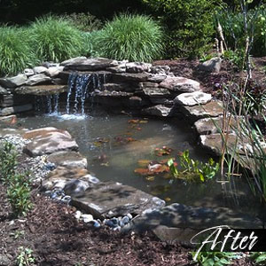 Pond after -  Pondscapes Maryland