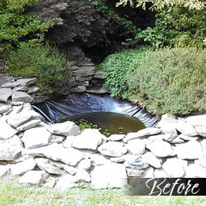 Pond before - Pondscapes Maryland