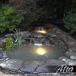 Pond after -  Pondscapes Maryland