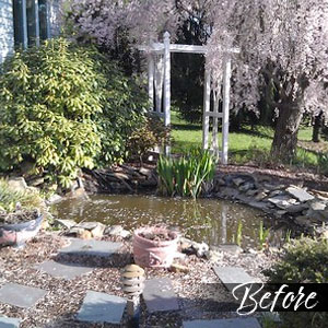 Pond before - Pondscapes Maryland