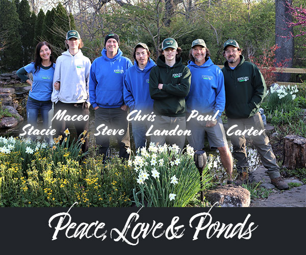 Pondscapes Maryland crew standing in a pond