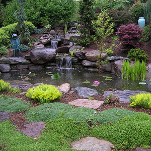 backyard pond sanctuary Pondscapes Maryland