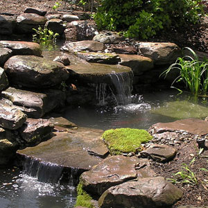 Custom pond by Pondscapes Maryland