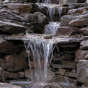 backyard pond by Pondscapes Maryland