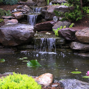 backyard pond by Pondscapes Maryland