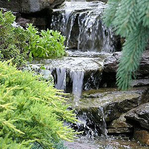 backyard pond sanctuary with waterfall Pondscapes Maryland