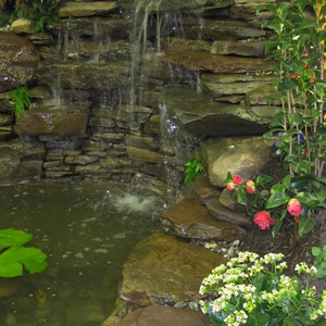Professional backyard pond building by Pondscapes Maryland