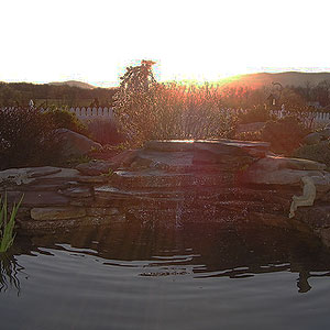 Pond with waterfall -  Pondscapes Maryland