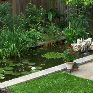 Rectangle formal pond with landscaping -  Pondscapes Maryland