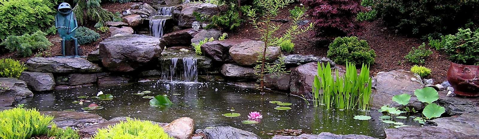 Pond with a waterfall, pond plants and landscaping - Pondscapes Maryland is a full service backyard sanctuary provider.