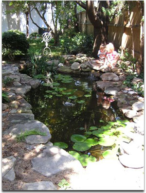 Examples of the great work done by Pondscapes Maryland